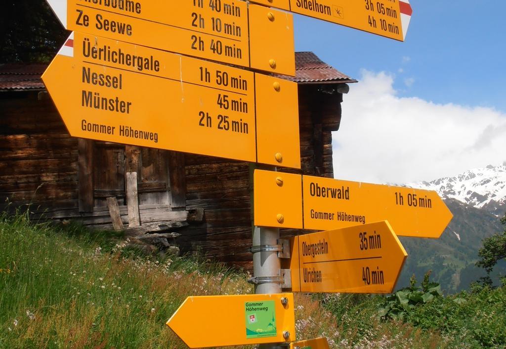 Hotel Grimsel Obergesteln Eksteriør billede